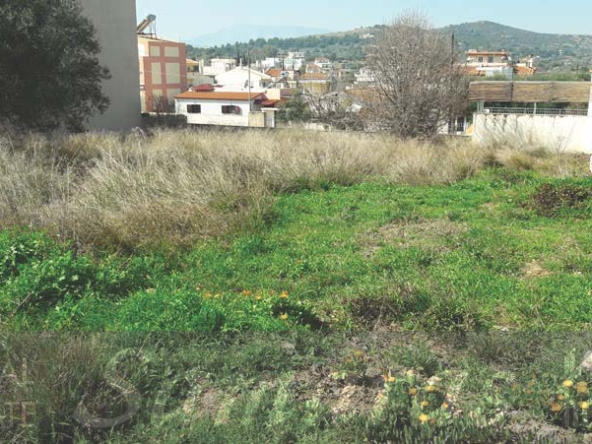 Μεσιτικό Γραφείο - real estate samaras, πωλήσεις ή ενοικιάσεις κατοικιών