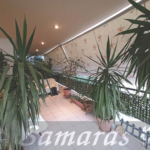 Γωνιακό διαμέρισμα 75τμ σε ήσυχη περιοχή