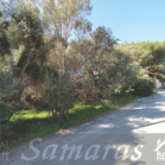 Οικόπεδο εκτός σχεδίου μέσα στο πράσινο