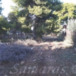 Οικόπεδο σε όμορφη και ήσυχη περιοχή