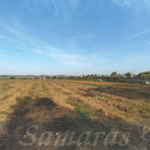 Σπάτα-Λάκιζα, Αγροτεμάχιο 2500τμ δίπλα σε κεντρικό δρόμο