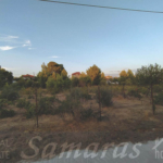 Γωνιακό περιφραγμένο οικόπεδο 839τμ